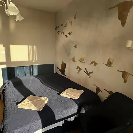 Kameralny Przy Promenadzie - Domki, Apartamenty, * Charzykowy