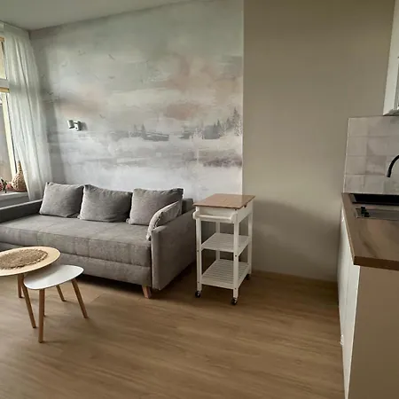 Lodge Kameralny Przy Promenadzie - Domki, Apartamenty, *