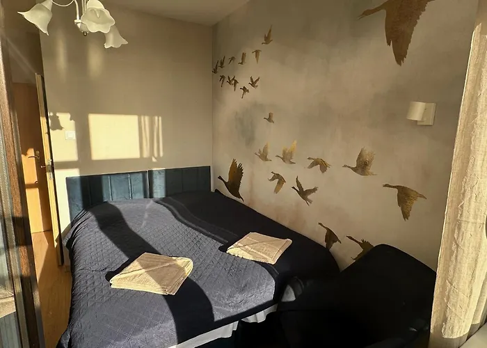 Kameralny Przy Promenadzie - Domki, Apartamenty, * Charzykowy